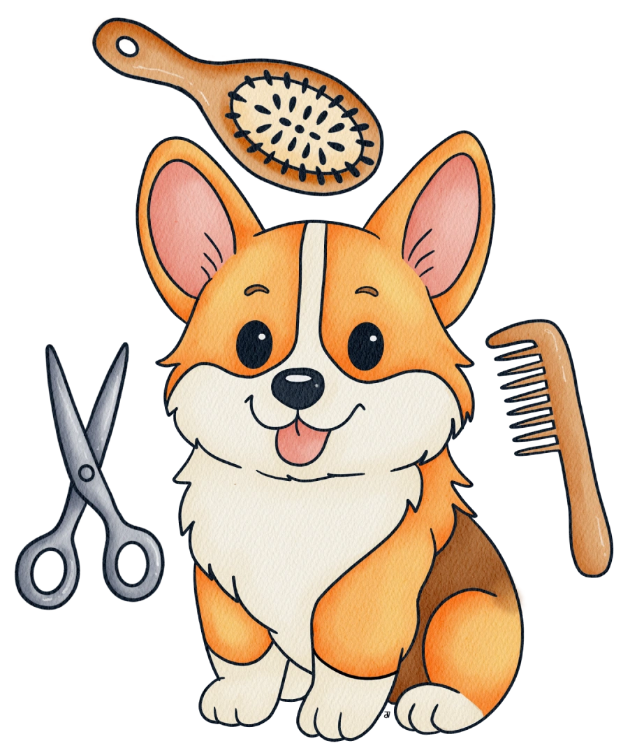 Trouwe4voeter - Corgi knippen, kammen en borstelen