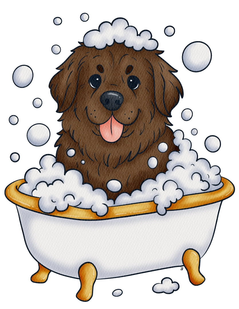 Trouwe4voeter - Newfoundland hond in bad