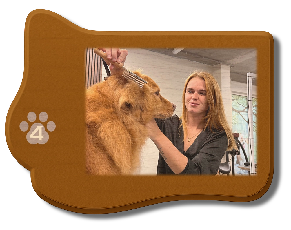 Trouwe4voeter - Over Eline