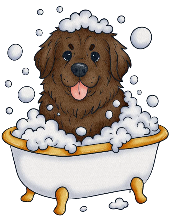 Trouwe4voeter - Newfoundland hond in bad
